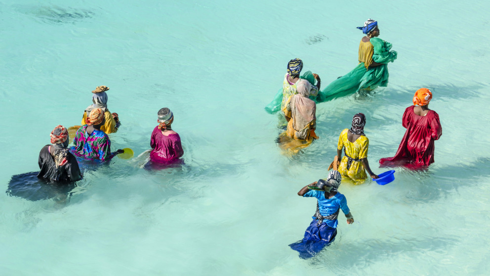 Zanzibar, Tanzania: Women fish in shallow water.