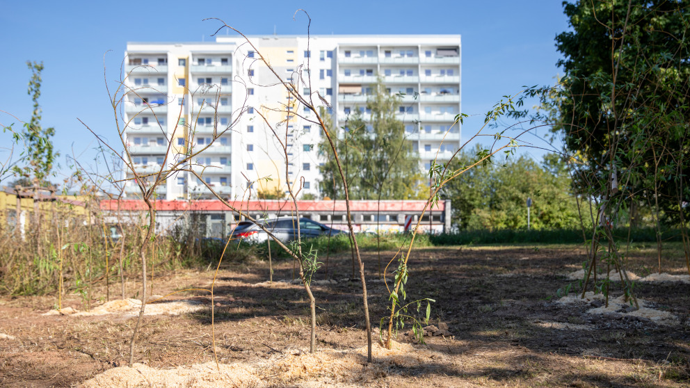 Unter dem Motto "Alle Plätze sind Spielplätze" sollten bei der Apfelbaumparade Orte der Begegnung geschaffen werden.