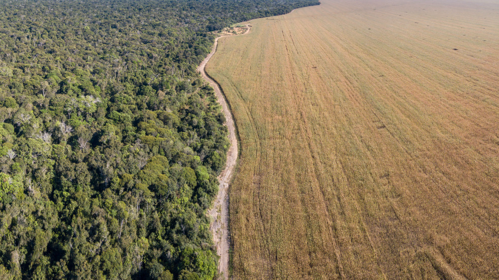 Parque Indígena do Xingu in the Amazon rainforest. Soybean farms cover swathes of land nearby.